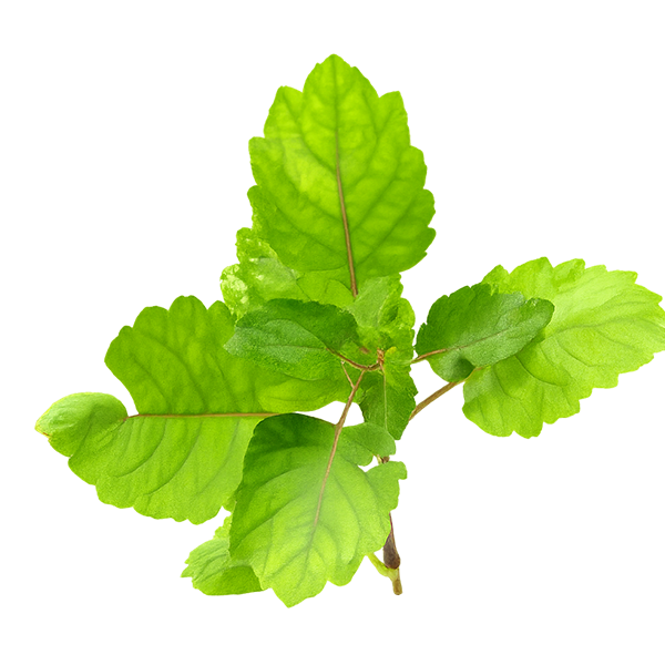 ChatGPT Image Dec 1, 2025, 01_04_43 AM